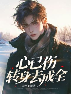 心已伤,转身去成全姜云凡沈雨婷目录_心已伤,转身去成全阅读