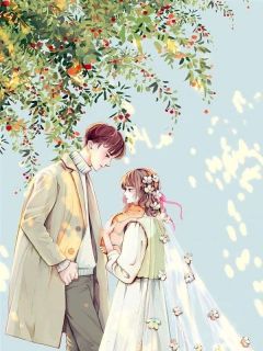 《伪装深情》苏婉音沈逸全文免费试读