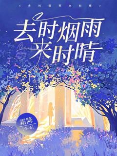 《去时烟雨来时晴》小说大结局免费阅读 林烟雨陆文昭小说全文