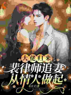 大佬归来，裴律师追妻从情人做起宋苒顾北煜完整篇在线阅读