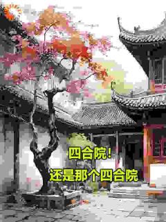 四合院!还是那个四合院
