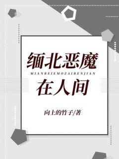 缅北恶魔在人间孟琳东哥免费阅读 缅北恶魔在人间向上的竹子