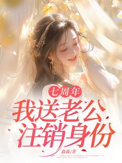 七周年,我送老公注销身份免费阅读(苏寒烟沈舟远全本资源) 无广告