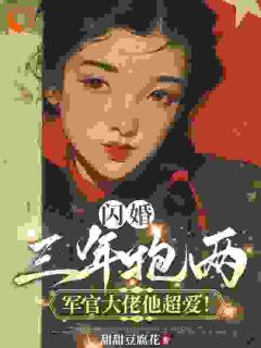 江念叶兰兰by甜甜豆腐花 闪婚三年抱两，军官大佬他超爱！小说全文阅读