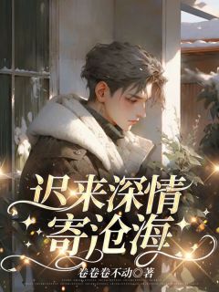 《迟来深情寄沧海》小说章节目录免费阅读 沈季泽卫诗韵小说全文