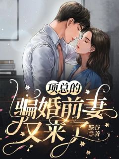 《项总的骗婚前妻又来了》小说完结版免费阅读 杨桃项黎辰小说全文