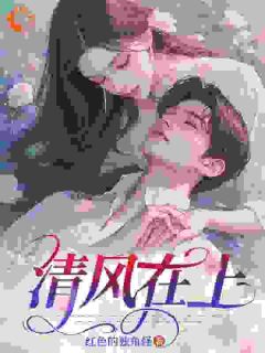 《清风在上》苏青竹陆时野全文免费试读
