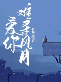 主角是许寻安白蕊的小说 《爱你难寻风月》 全文免费阅读