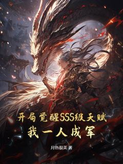 开局觉醒SSS级天赋,我一人成军