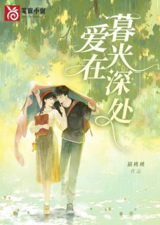 爱在暮光深处小说全文免费试读 温念沈霖修全文精彩章节章节