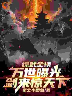 精品《综武金榜：万世曝光，剑来惊天下》小说免费试读 江辰张无忌小说全集无删减全文