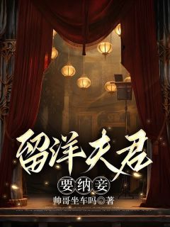 《留洋夫君要纳妾》梅兰胡沛霖李青萍小说全本在线阅读