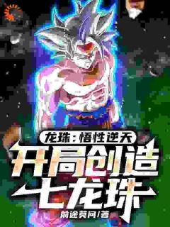 龙珠:悟性逆天,开局创造七龙珠