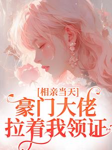 相亲当天,豪门大佬拉着我领证