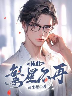 好书推荐《从此繁星不再》傅繁星江明月全文免费试读