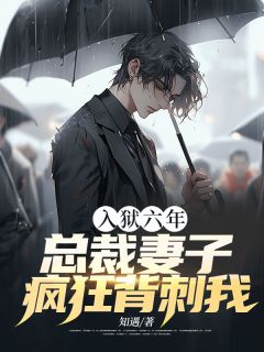 《入狱六年，总裁妻子疯狂背刺我》小说章节目录免费阅读 林森孟薇小说全文