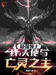 最强领主:我,天使与亡灵之主