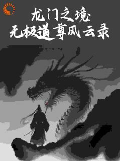 龙门之境:无极道尊风云录
