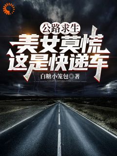 公路求生:美女莫慌,这是快递车小说完整版在线阅读(主角赵硕楚莹)