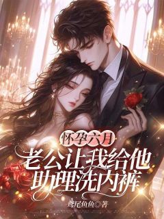 《怀孕六月，老公让我给他助理洗内裤》小说章节列表精彩试读 林若愚苏子川小说阅读