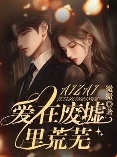 爱在废墟里荒芜夏霜见陆景风by微微在线阅读