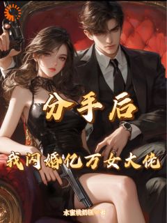 分手后,我闪婚亿万女大佬