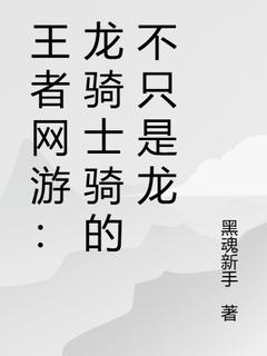 王者网游:龙骑士骑的不只是龙