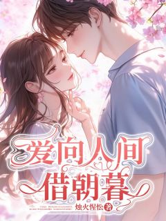 《爱向人间借朝暮》沈晚季屿章节目录免费试读