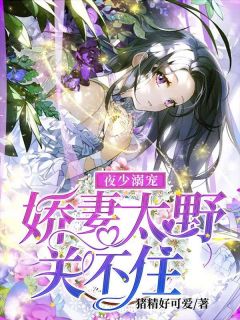 夜少溺宠:娇妻太野关不住