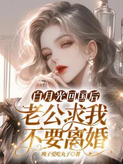 白月光回国后，老公求我不要离婚(宋晚赵庭洲)全文完结免费试读精彩章节