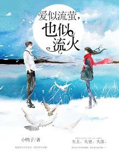 爱似流萤，也似流火全文免费阅读 赵小雨欧晋诚大结局无弹窗