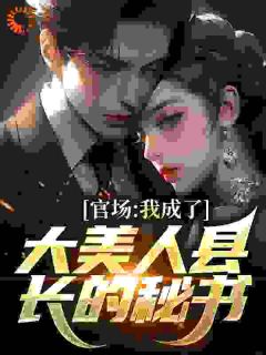 官场:我成了大美人县长的秘书