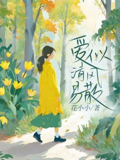 《爱似清风易散》小说完结版在线阅读 陆怀川沈心怡小说全文