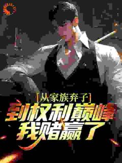 《从家族弃子到权利巅峰,我赌赢了》小说章节列表免费阅读 李南征曹逸凡小说全文