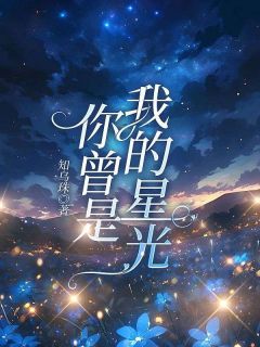 《你曾是我的星光》小说全文精彩阅读 《你曾是我的星光》最新章节列表