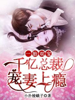 一胎双宝:千亿总裁宠妻上瘾