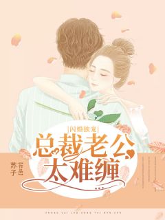 闪婚独宠:总裁老公太难缠