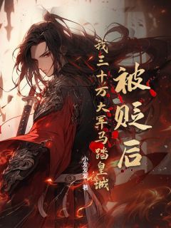 被贬后,我三十万大军马踏皇城!