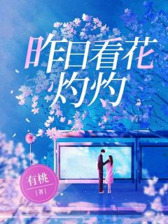 小说昨日看花灼灼慕云傅时生章节免费免费试读地址