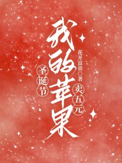 《圣诞节我的苹果卖五元》小说全文精彩章节免费试读(张红李飞)