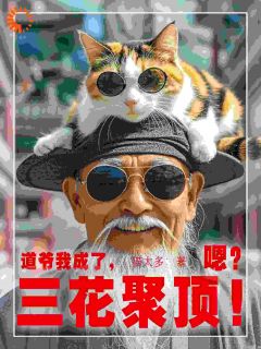 《道爷我成了,三花聚顶!嗯?》全文免费章节在线试读 陈甲木陈锡亮小说