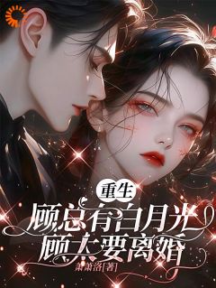 《重生，顾总有白月光，顾太要离婚》小说全文免费阅读 宋晚婉顾廷舟小说全文