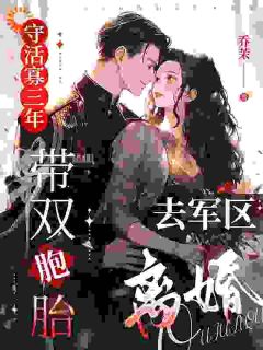 云织织秦时郁by乔茉 守活寡三年，带双胞胎去军区离婚全文免费阅读