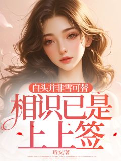 《白头并非雪可替,相识已是上上签》小说完结版在线试读 池屿修江禾茉眠眠小说全文