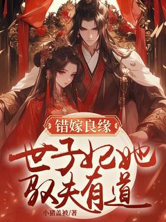 叶婉清陆晏洲小说 叶婉清陆晏洲错嫁良缘:世子妃她驭夫有道免费阅读