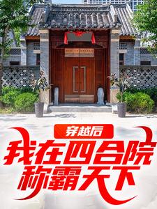 穿越后,我在四合院称霸天下