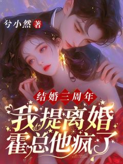 被虐离婚!我分娩霍少跪地求保胎