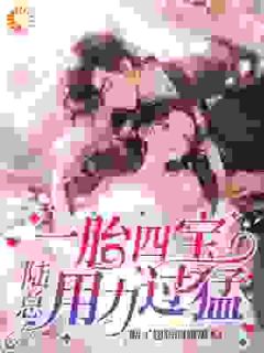 一胎四宝,陆总用力过猛