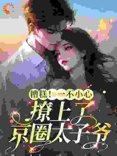 苏夏顾帆by梓上萱 糟糕！一不小心撩上了京圈太子爷阅读全文