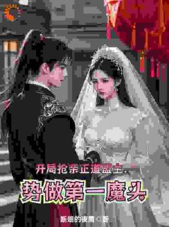 开局抢亲正道盟主,势做第一魔头